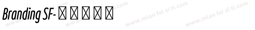 Branding SF字体转换